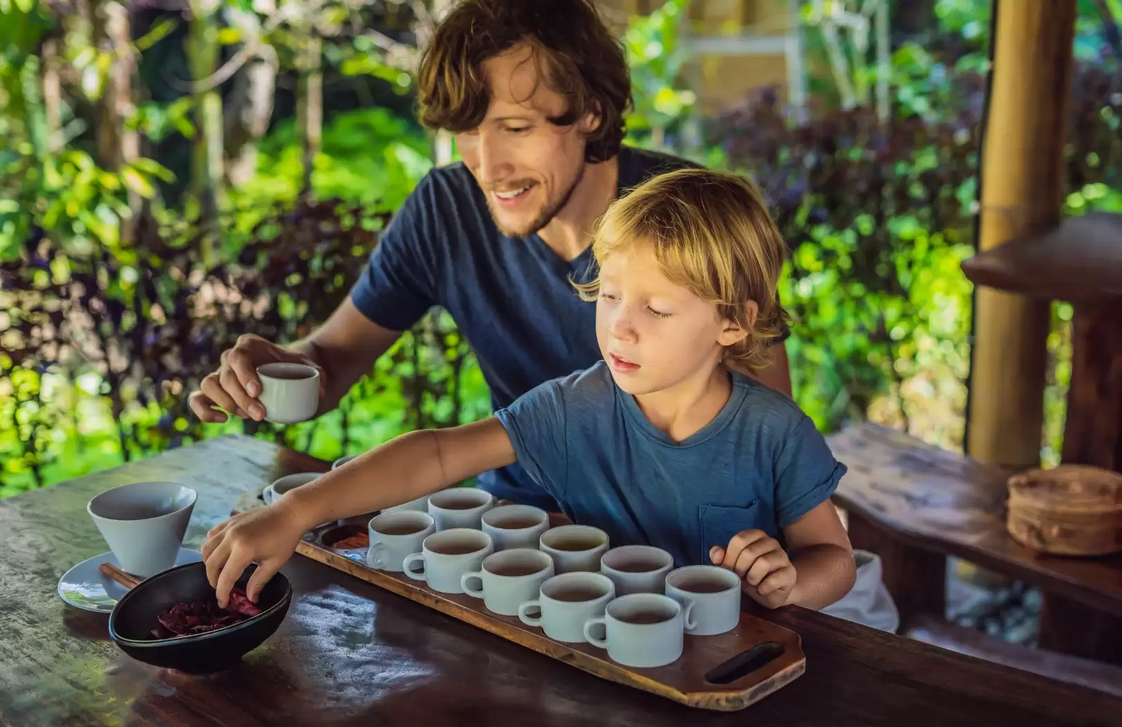 Coffee/Cocoa/Spice Plantations