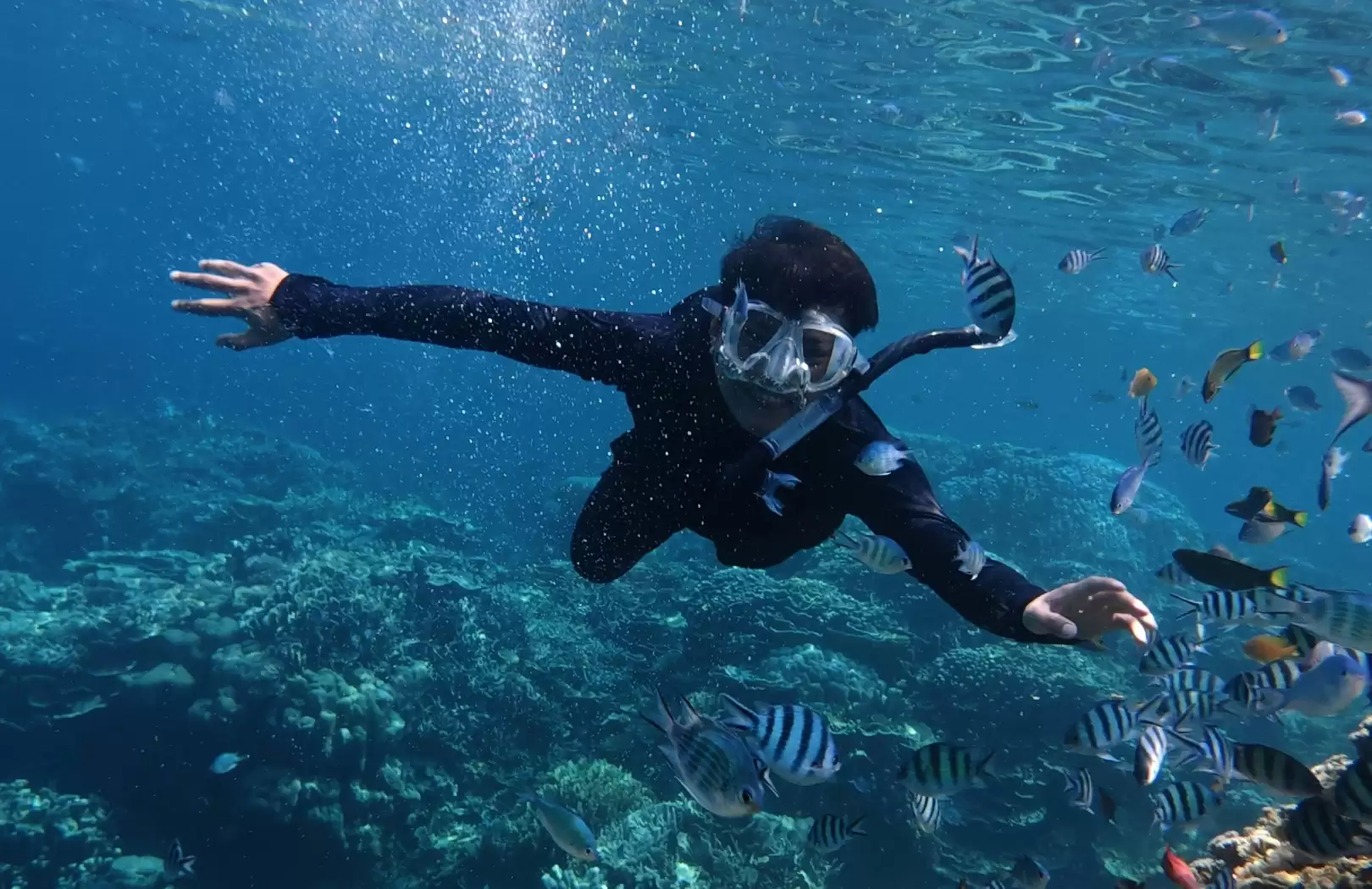 Snorkeling in Menjangan/Amed