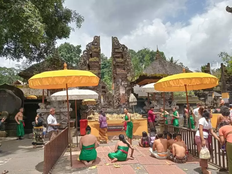 Full Day Ubud Bali Tour with a Private Driver Guide from Canggu
