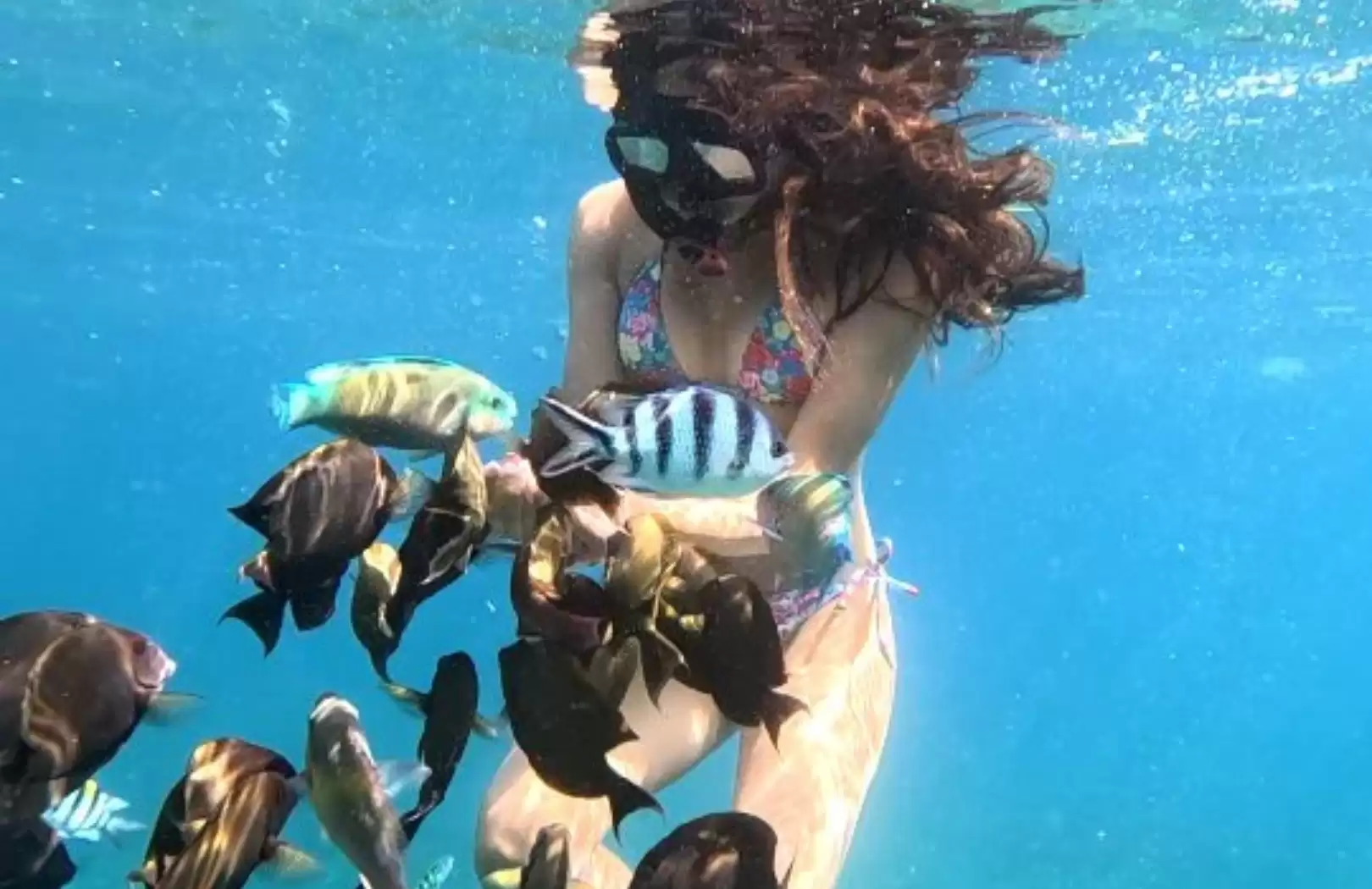 Snorkeling Blue Lagoon & Tanjung Jepun