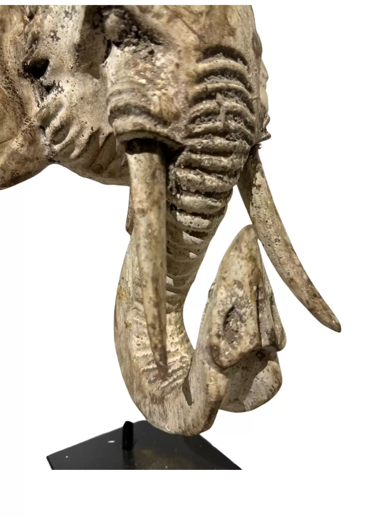 Standing Elephant Head Decoration