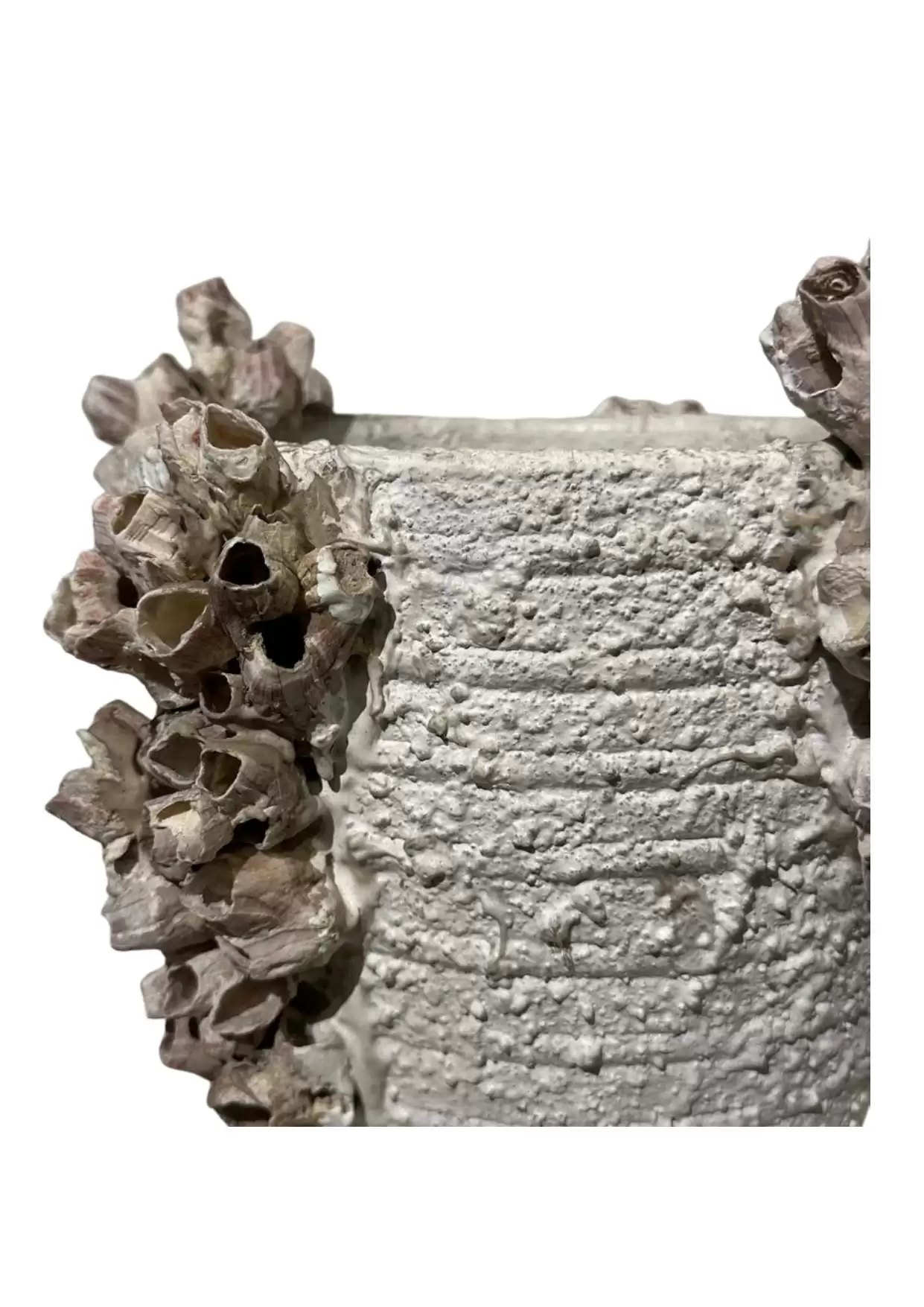 Decorative Shell Textured Vase