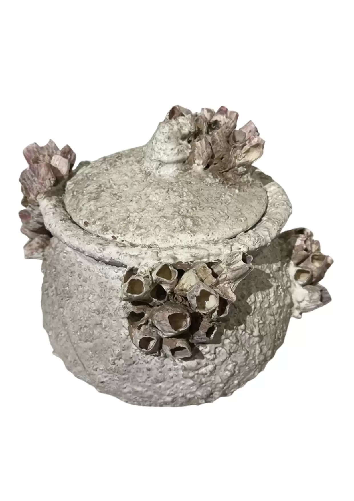 Decorative Barnacle Textured Pot
