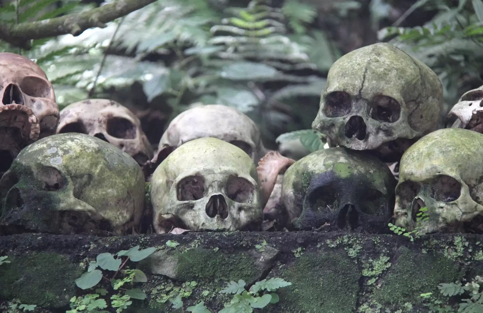 Highlight Of Bali 8 Days / 7 Nights