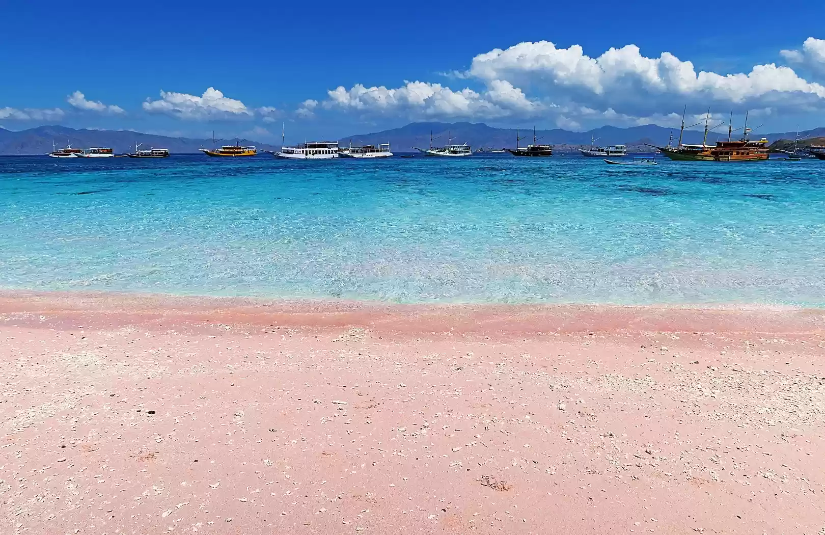 Great Flores Overland and Komodo National Park Package