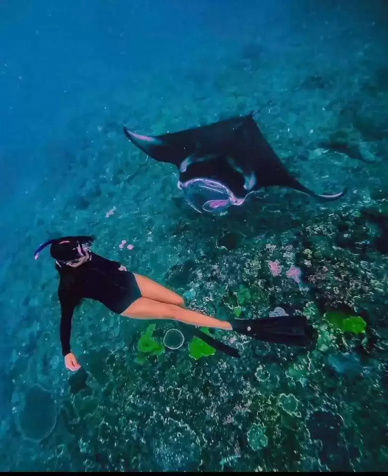 Snorkling at Manta point 