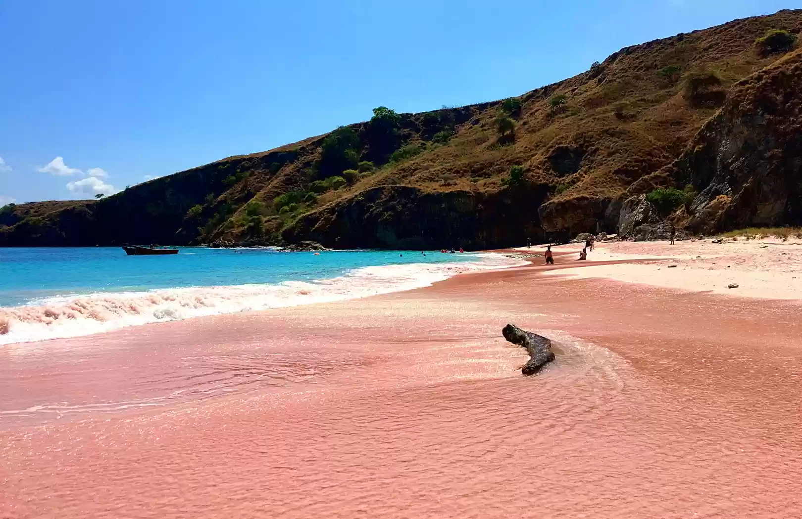 Komodo Trip 2 Days 1 Night
