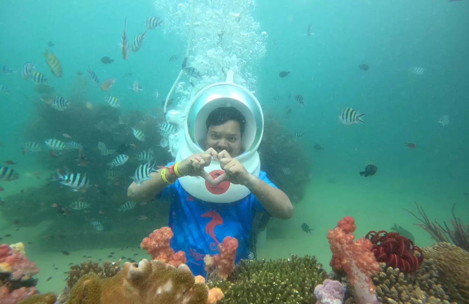 Bali Sea Walker Tour