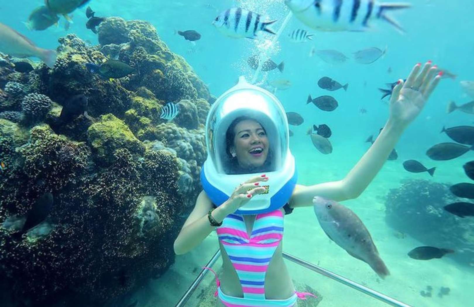 Bali Sea Walker Tour