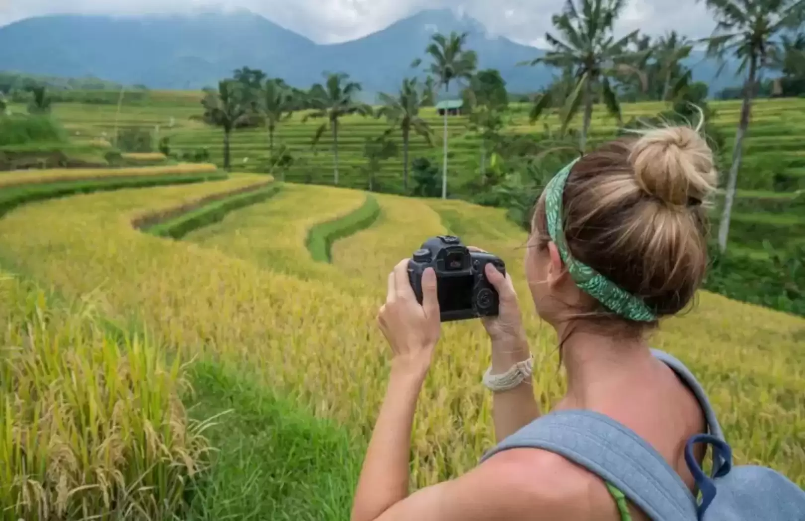 Jatiluwih Rice Terrace