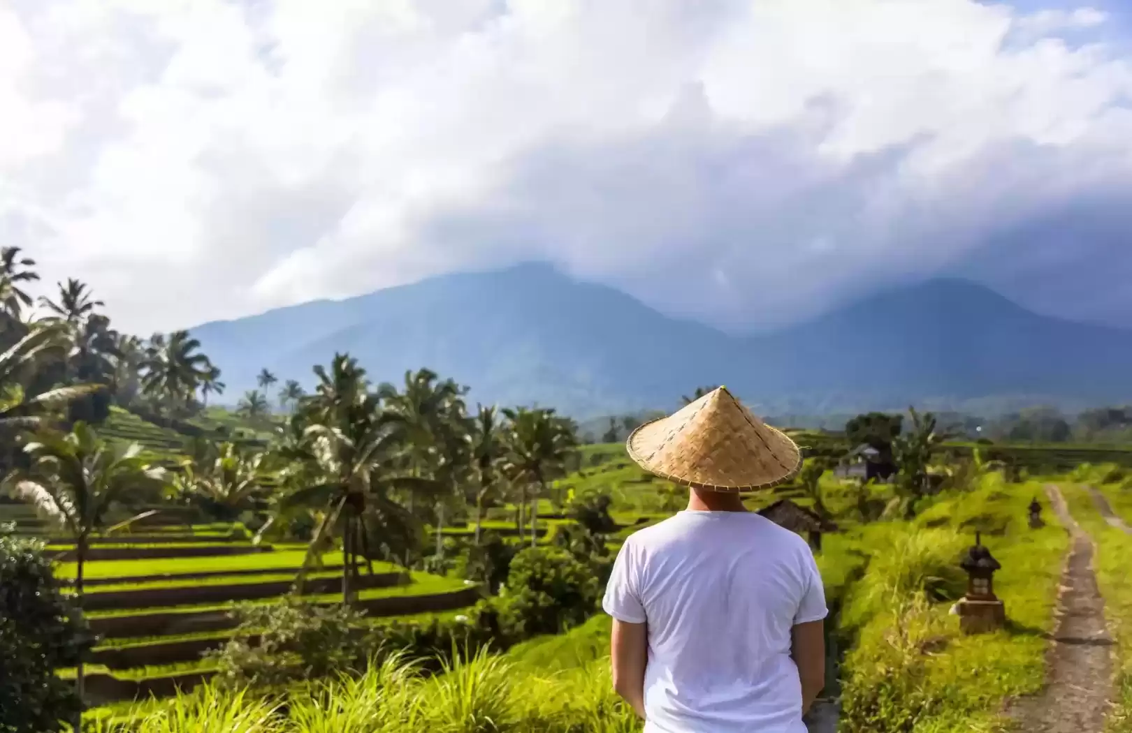 Bali Jatiluwih and Tanah Lot Sunset Tour