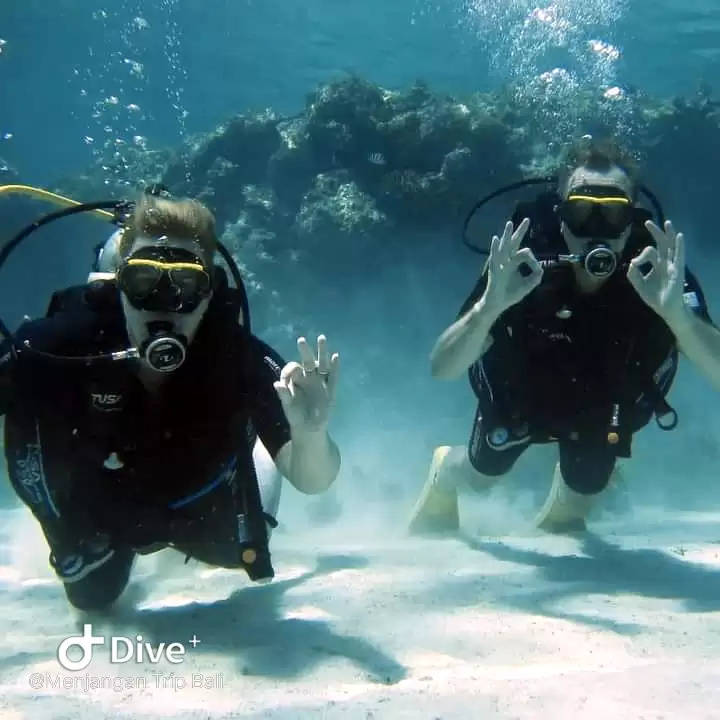 Try Scuba Diving Menjangan