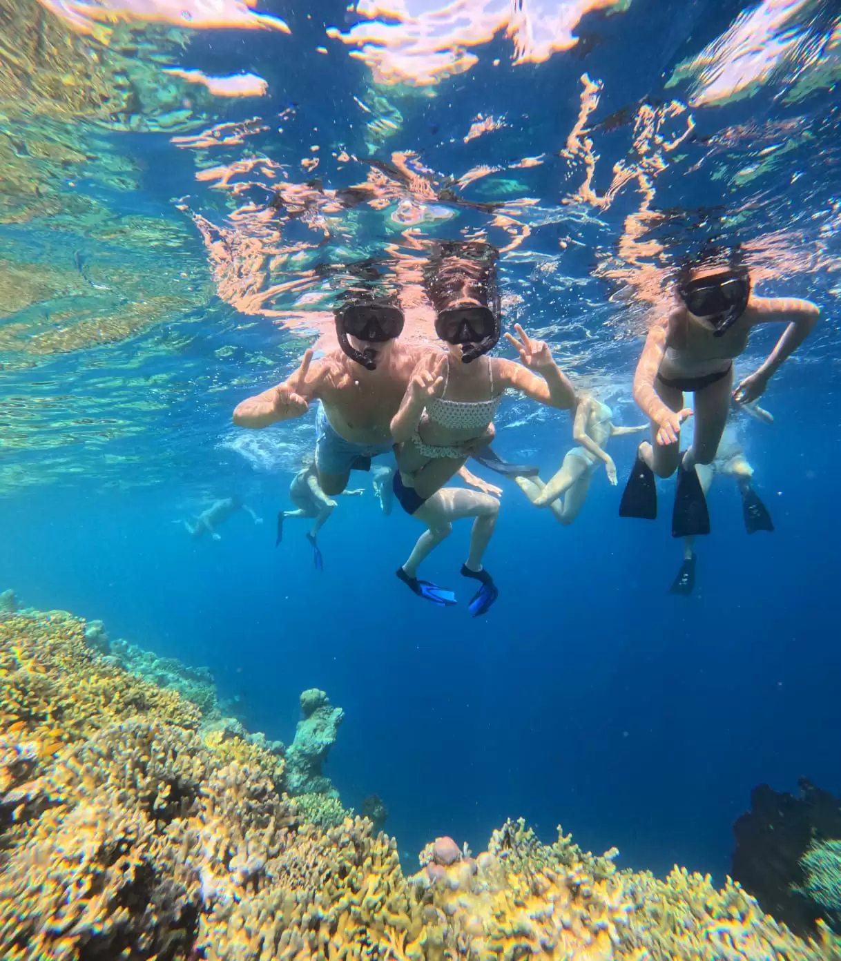 Snorkeling Menjangan Island