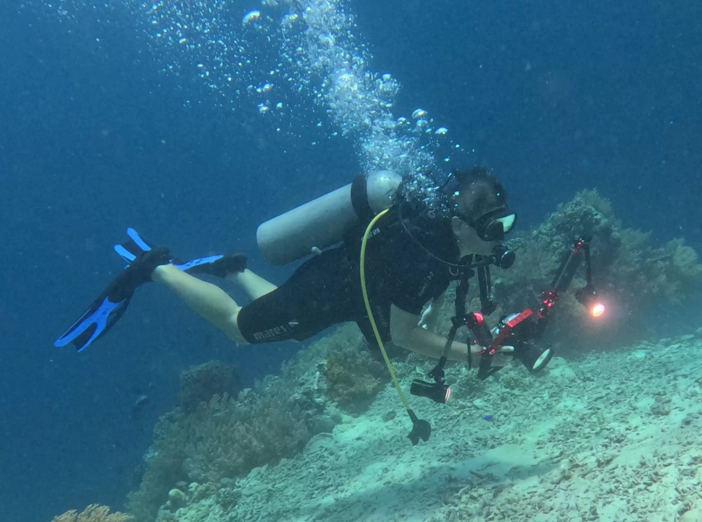 Dive Pemuteran