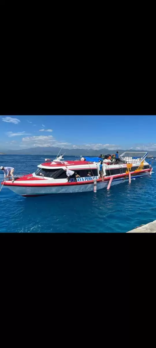 Wijaya Perkasa