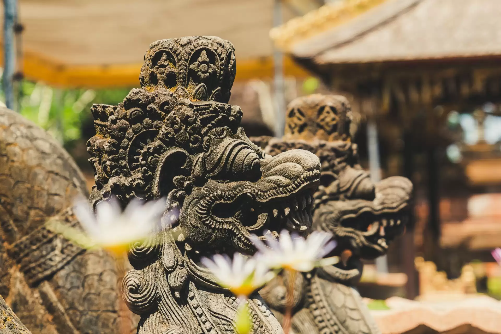 Canggu Resort with Balinese Cultural Tours: A Unique Stay in Bali