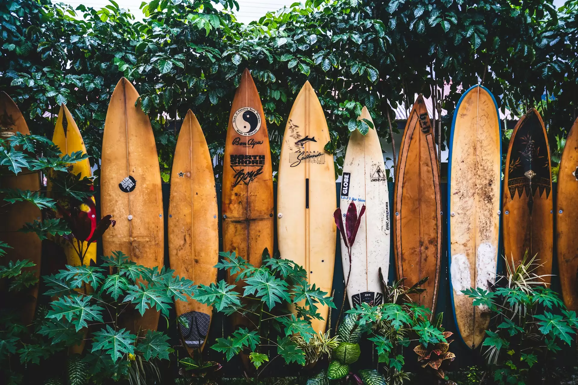 Top Bali Indonesia Surf Spots: Canggu Waves & Masmara Resort Vibes