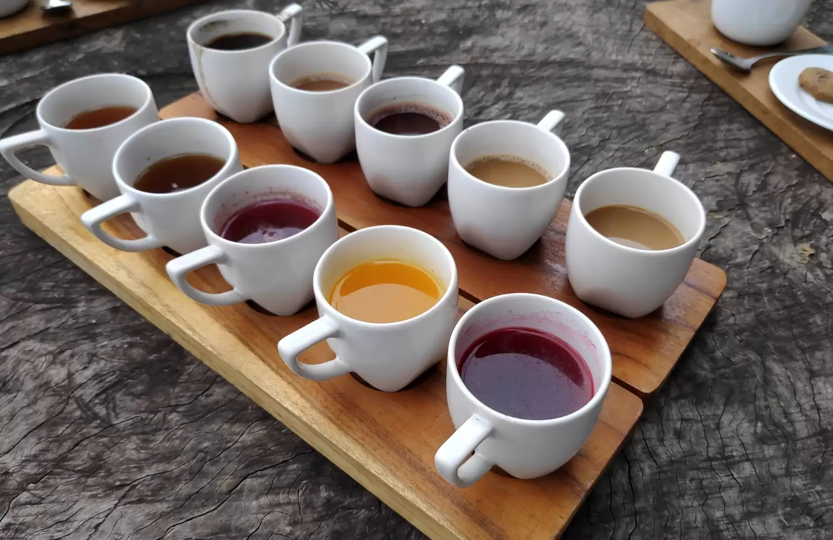 Packages G (Trekking + Batur Hot Spring + Coffee Plantation + Holly Spring Water Temple )