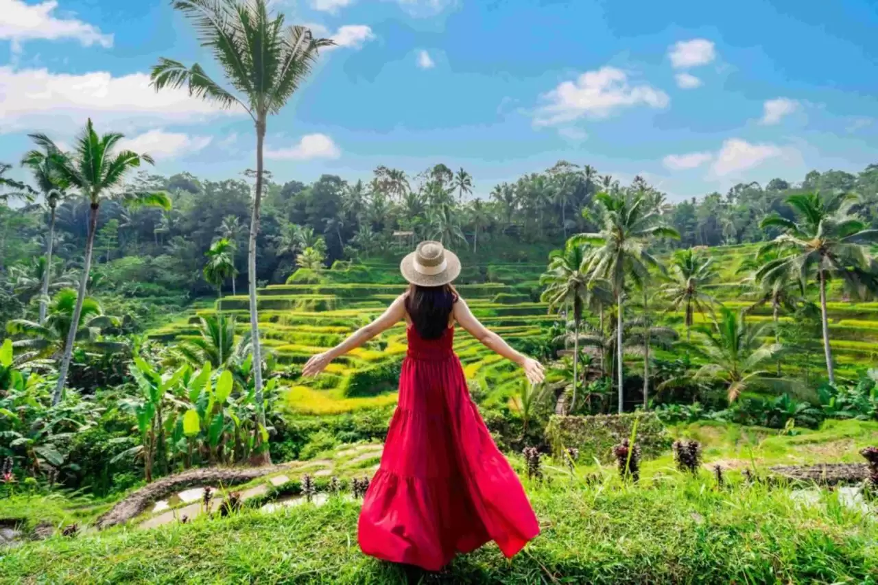 Ubud Highlight Tour, Tegalalang Rice Terrace,  Temple, And Jungle Swing