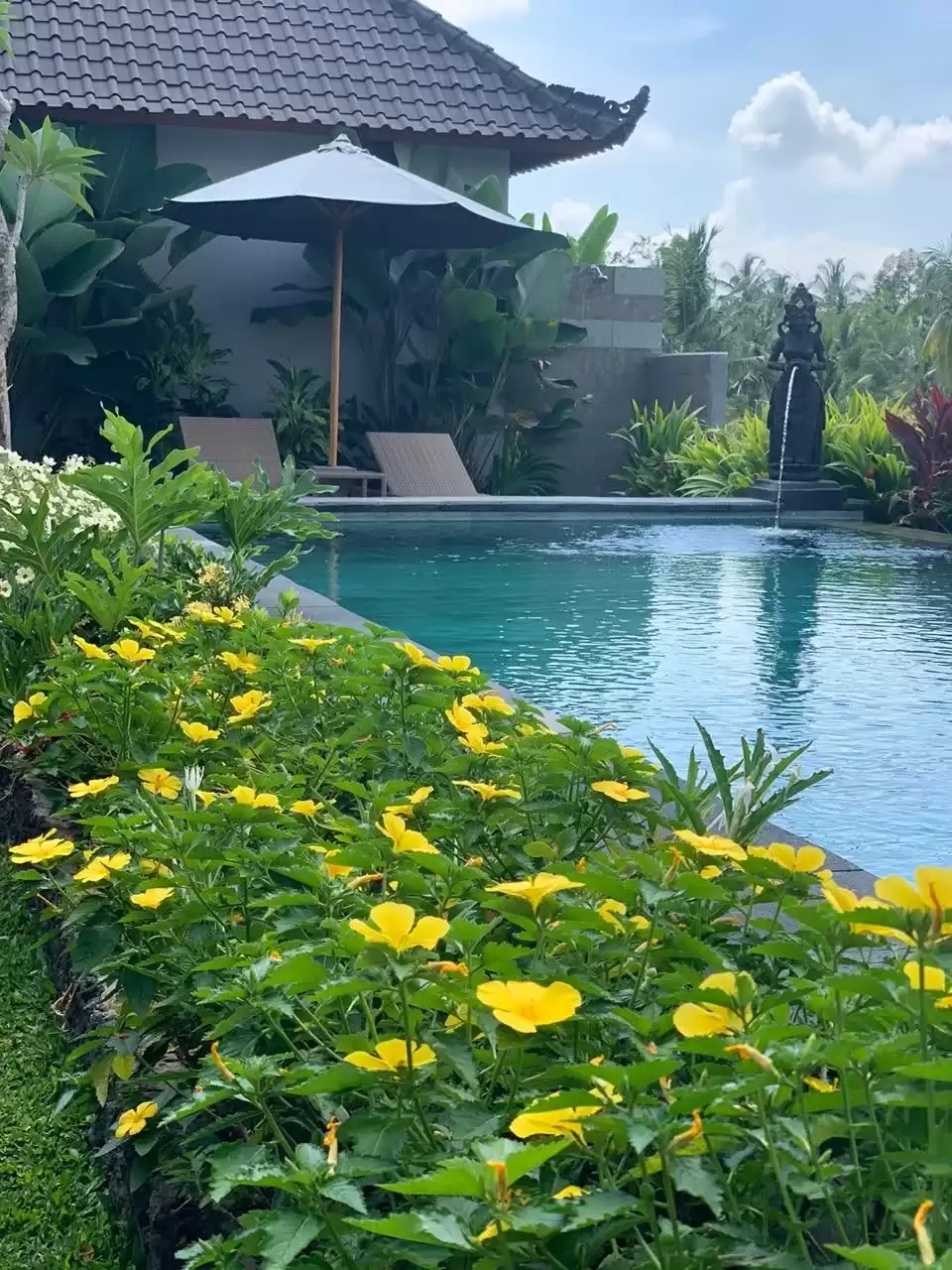 Why Staying in a Cottage in Ubud Offers a More Meaningful Travel Experience