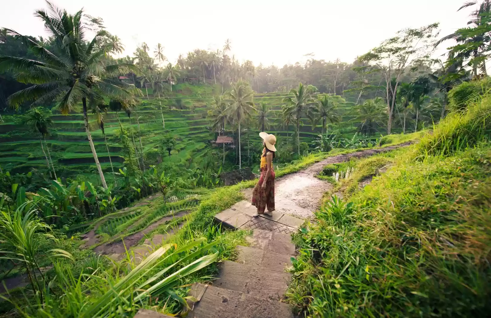 Tegallalang Rice Terrace
