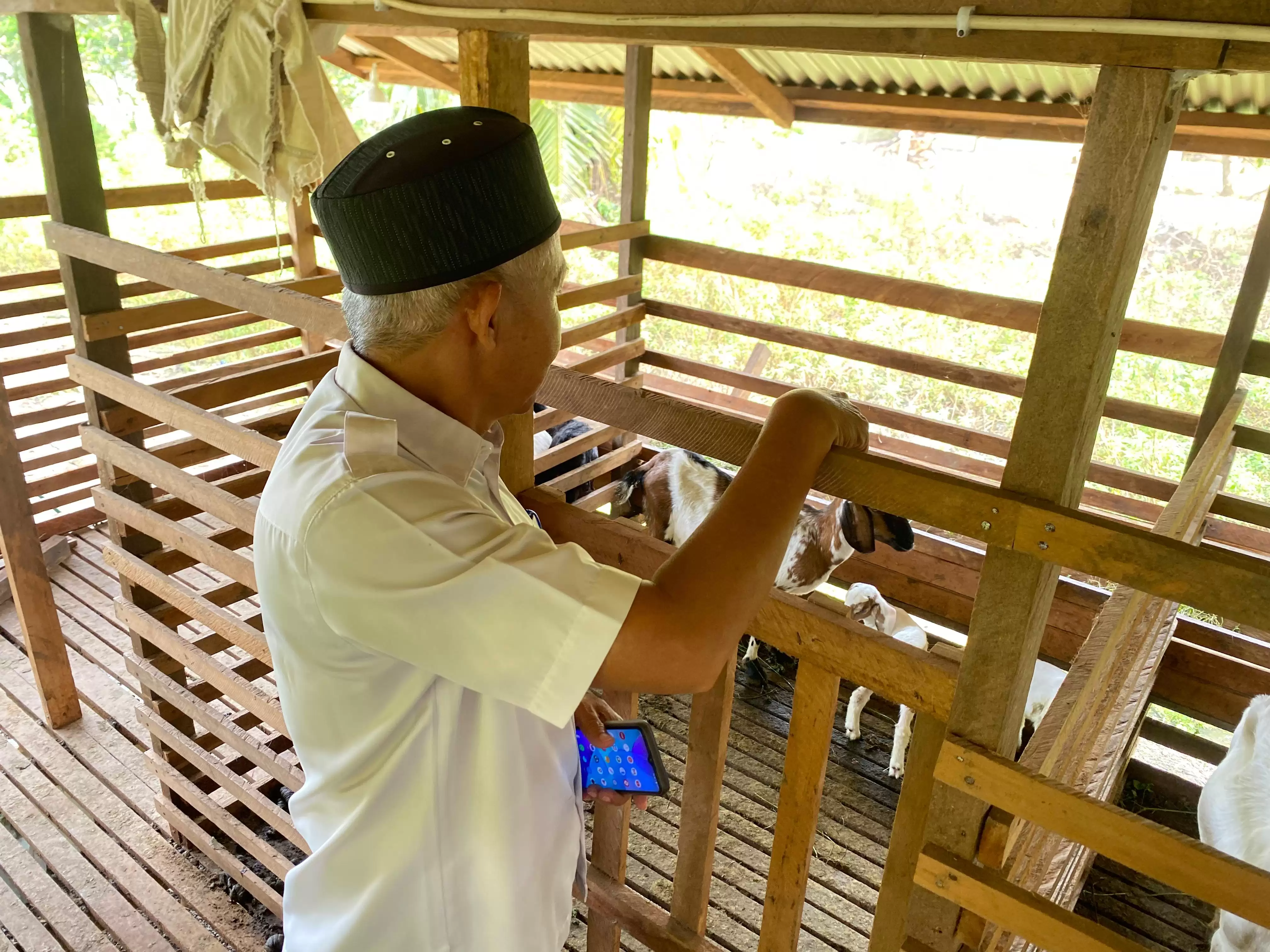 Pj Penghulu Labuhan Tangga Baru Dorong Penguatan Ekonomi Desa Lewat Program Ketahanan Pangan Daging Kambing