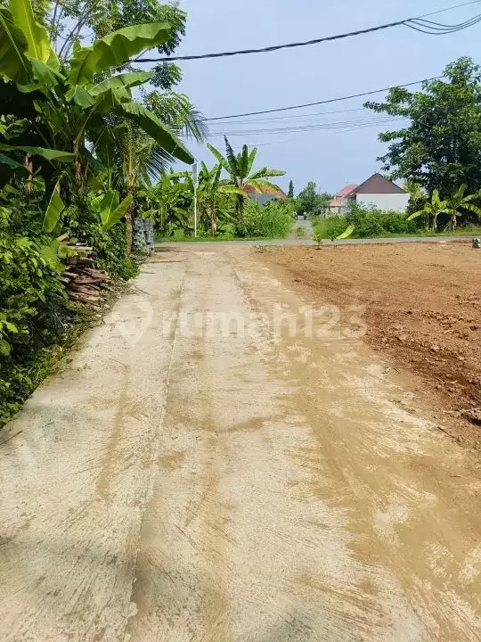 Tanah Strategis Dekat Pusat Lovina Siap Bangun di Area Villa