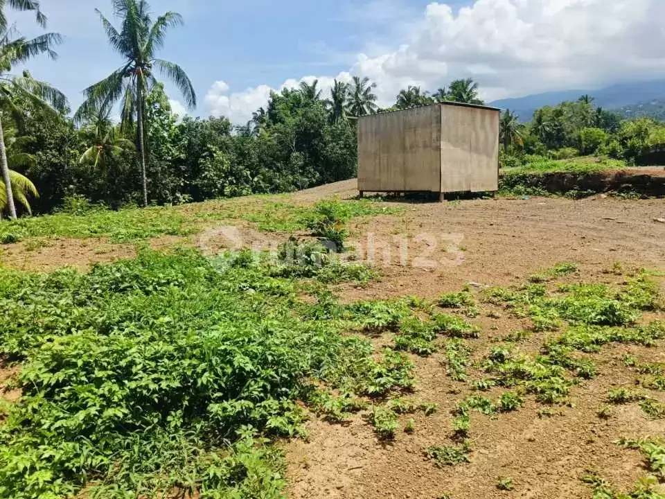 Tanah Premium Siap Bangun 3 Menit ke Pusat Lovina Cocok untuk Villa