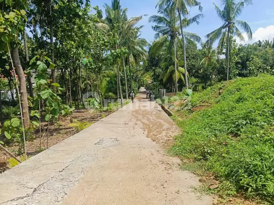 Tanah Premium Siap Bangun 3 Menit ke Pusat Lovina Cocok untuk Villa