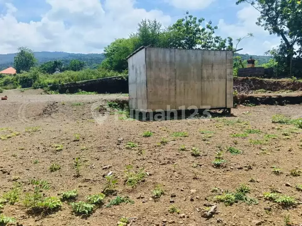 Tanah Premium Siap Bangun 3 Menit ke Pusat Lovina Cocok untuk Villa
