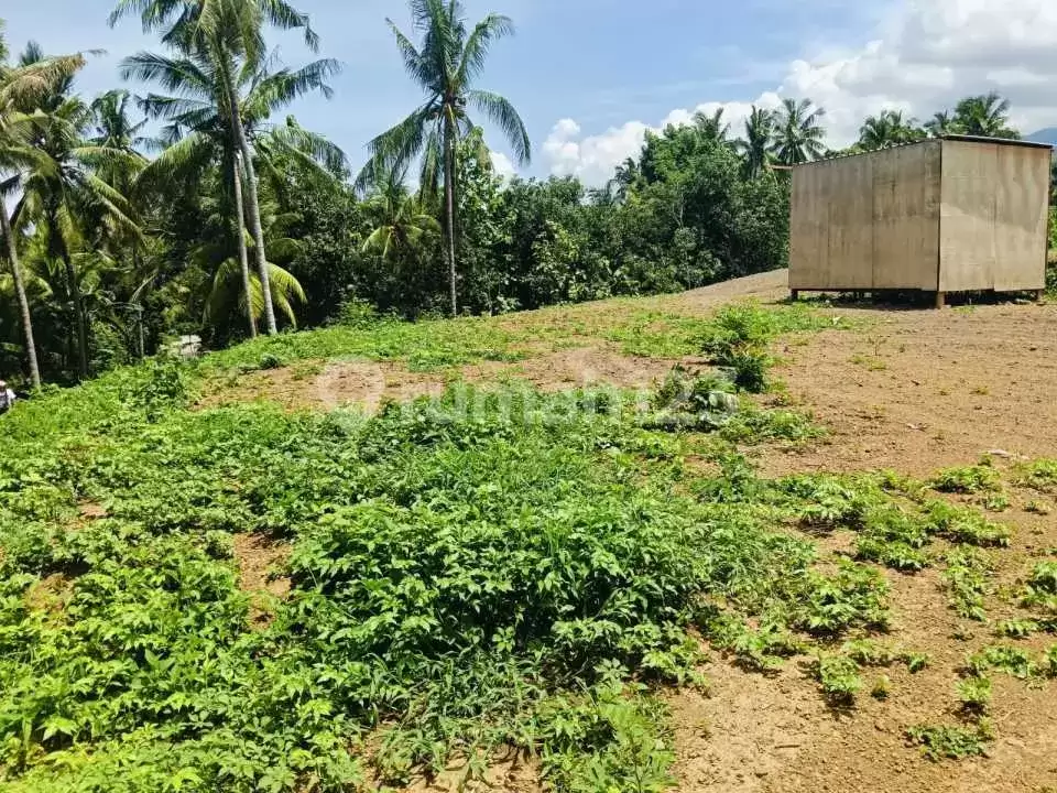 Tanah Premium Siap Bangun 3 Menit ke Pusat Lovina Cocok untuk Villa