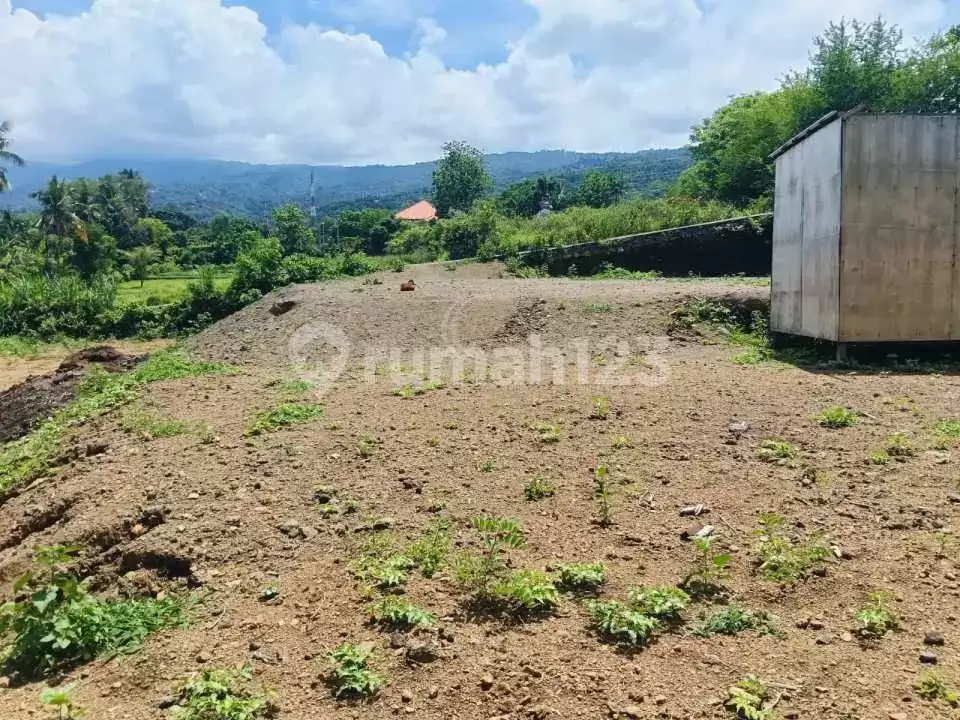 Tanah Premium Siap Bangun 3 Menit ke Pusat Lovina Cocok untuk Villa