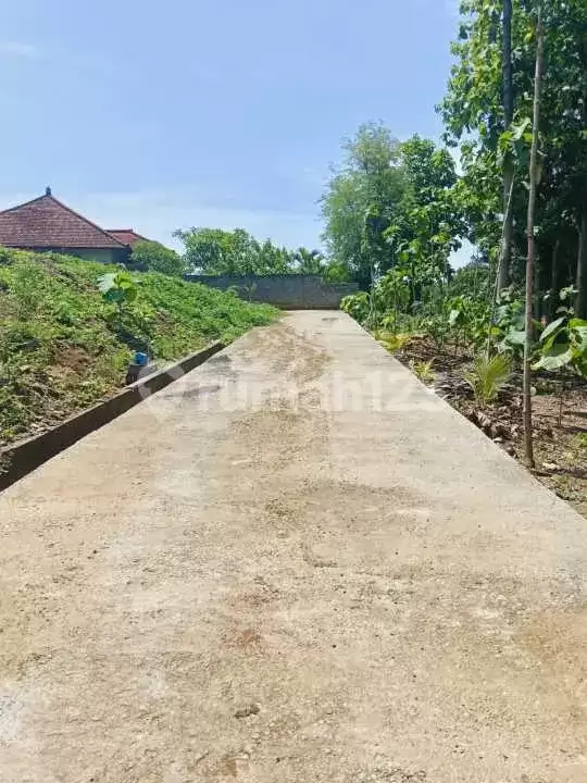 Tanah Premium Siap Bangun 3 Menit ke Pusat Lovina Cocok untuk Villa