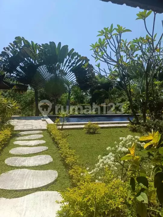 Villa Mewah 3 Kamar Tidur dengan Green dan Ocean View di Lovina