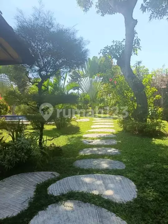 Villa Mewah 3 Kamar Tidur dengan Green dan Ocean View di Lovina