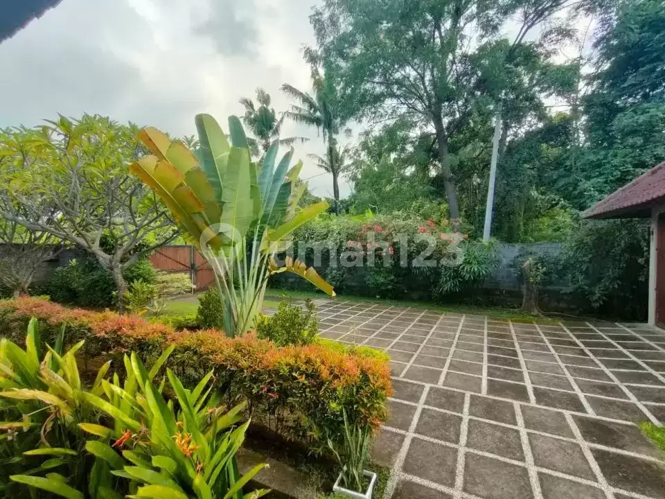 Villa Mewah 3 Kamar Tidur dengan Green dan Ocean View di Lovina
