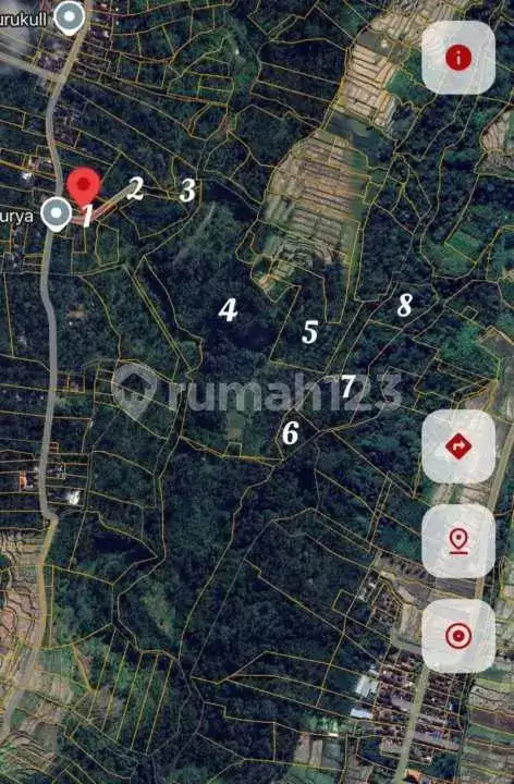 Tanah Luas di Area Payangan Cocok untuk Villa dan Resort