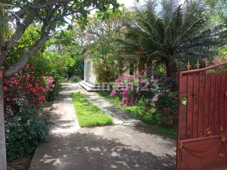 Rumah Pribadi 3 Kamar di Pusat Pemuteran Dekat Pantai