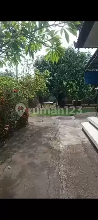 Rumah Pribadi 3 Kamar di Pusat Pemuteran Dekat Pantai