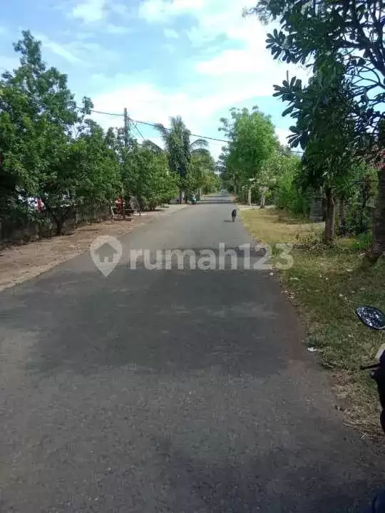 Rumah Pribadi 3 Kamar di Pusat Pemuteran Dekat Pantai