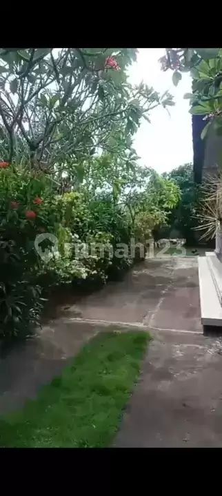 Rumah Pribadi 3 Kamar di Pusat Pemuteran Dekat Pantai