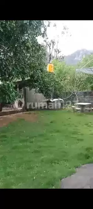 Rumah Pribadi 3 Kamar di Pusat Pemuteran Dekat Pantai