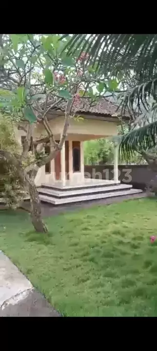 Rumah Pribadi 3 Kamar di Pusat Pemuteran Dekat Pantai