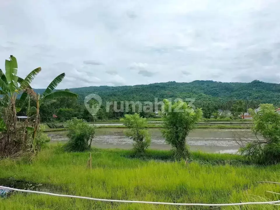 Lahan Kecil dengan View Cantik Dekat Kota dan Pantai Lovina