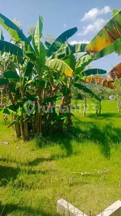 Lahan Kecil dengan View Cantik Dekat Kota dan Pantai Lovina