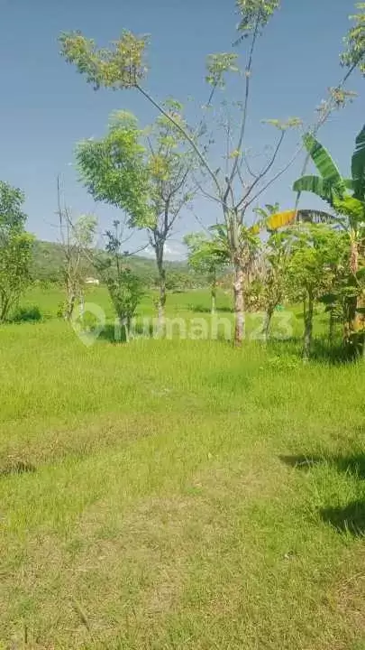 Lahan Kecil dengan View Cantik Dekat Kota dan Pantai Lovina