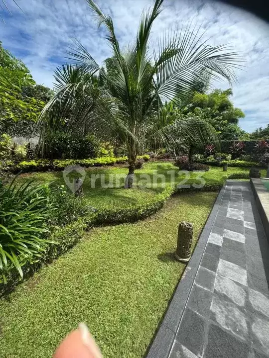 Villa Tropis Privat 3 Kamar Tidur di Area Potensial