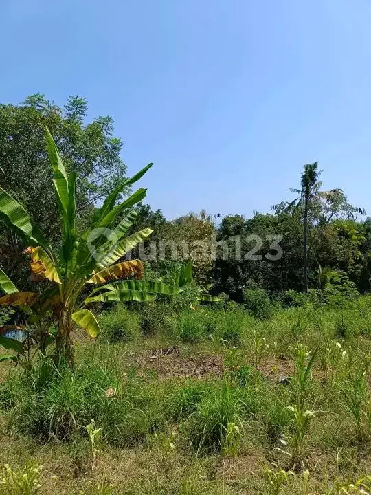 Tanah 25 Are dengan View Fantastis Dekat Pantai Lovina