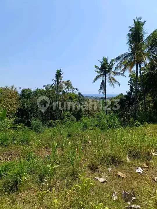 Tanah 25 Are dengan View Fantastis Dekat Pantai Lovina