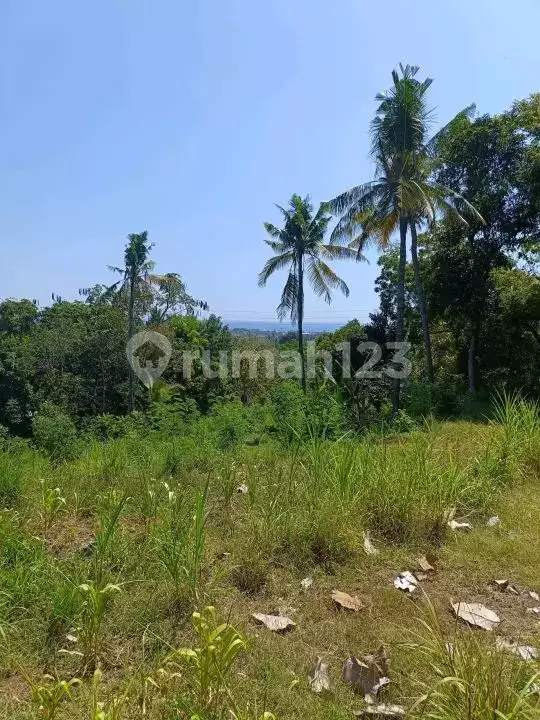 Tanah 25 Are dengan View Fantastis Dekat Pantai Lovina